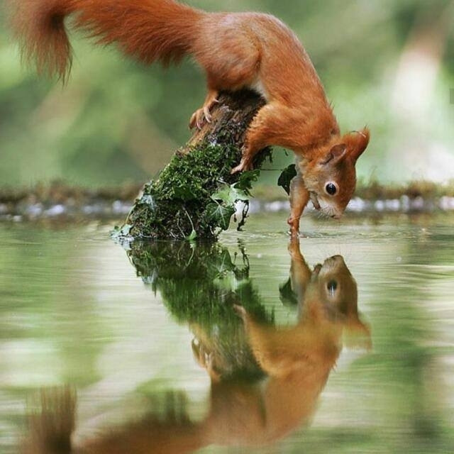 nature