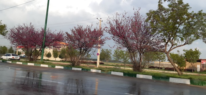 Boroujerd city