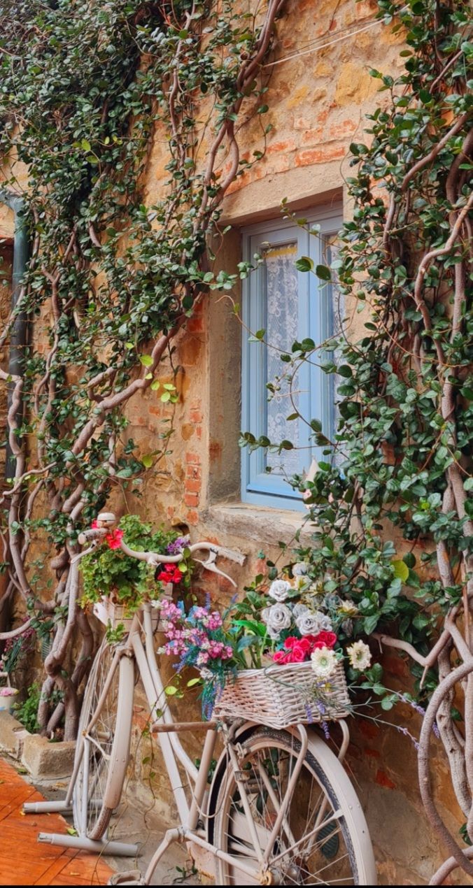 fiori