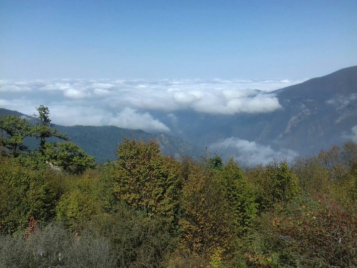 cloud