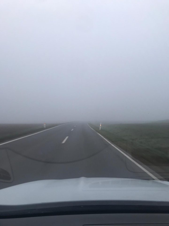 fog