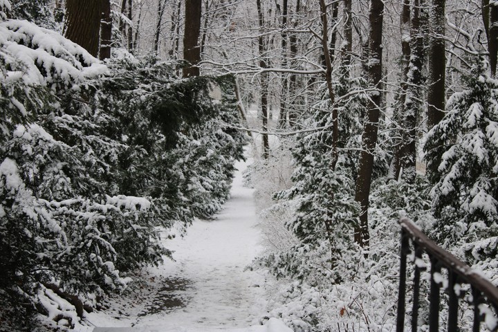 Winter