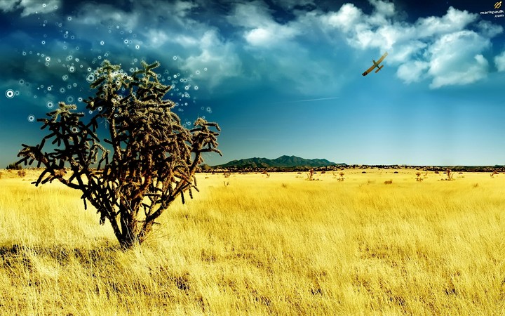 Treee