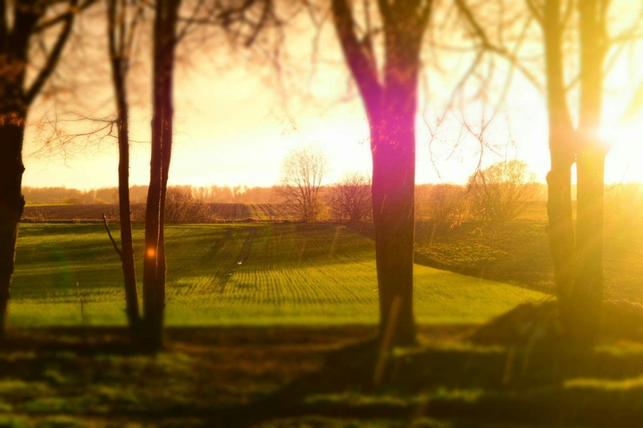 sunlight