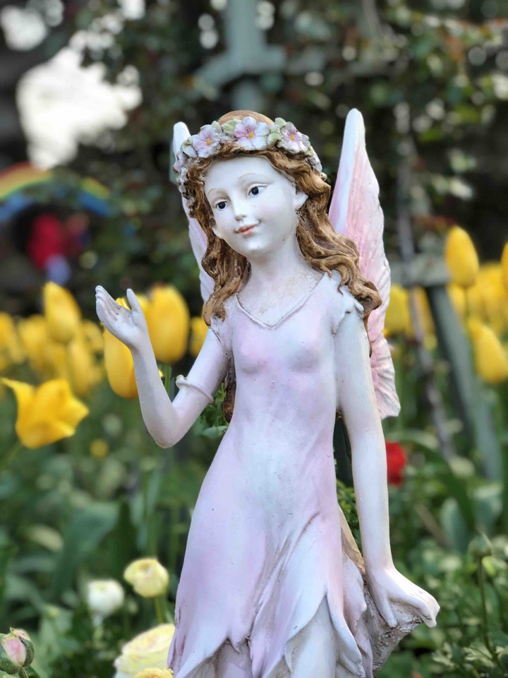 beauty angel @ tulip festival