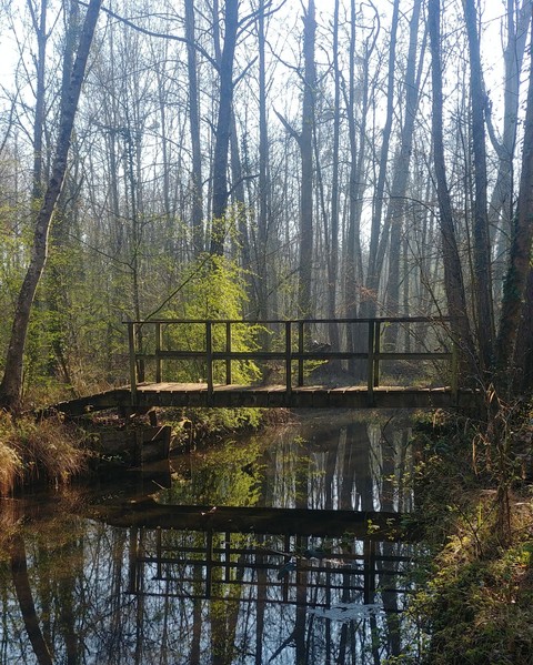 Park bridge