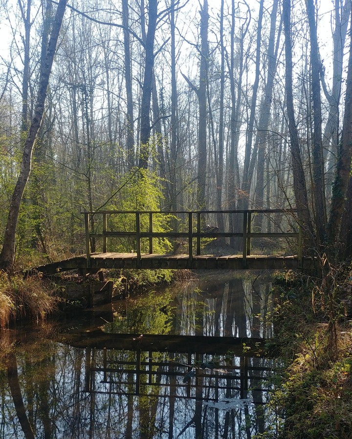 Park bridge