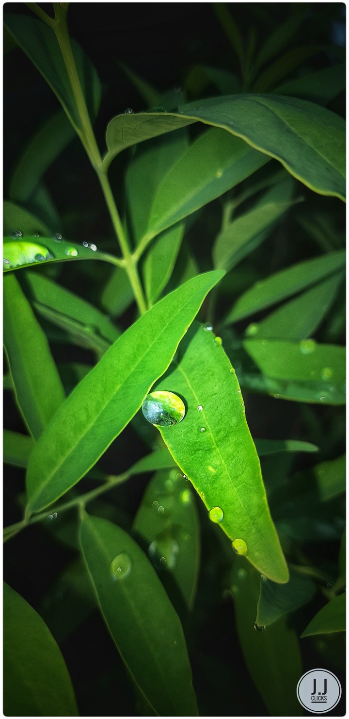 MOBILE CLICK