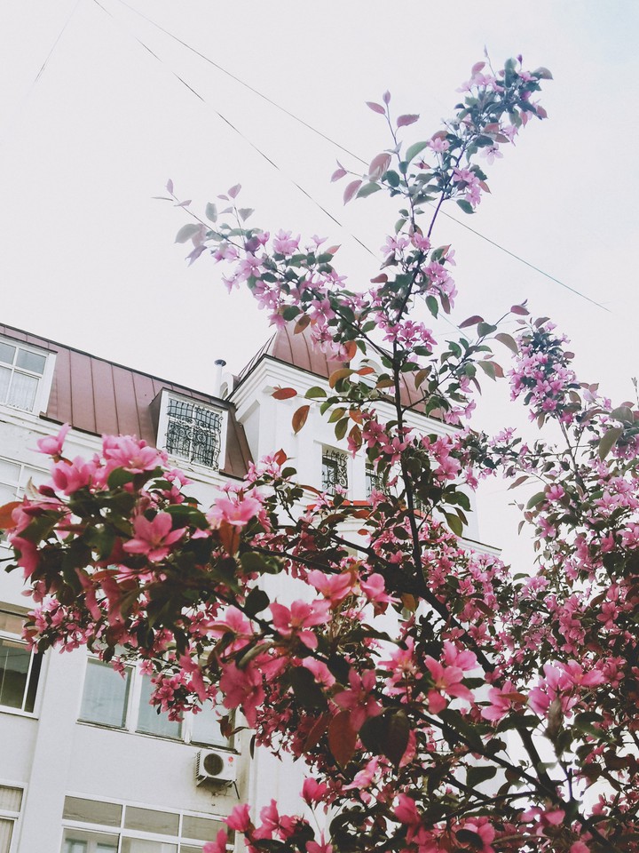 May in Russia