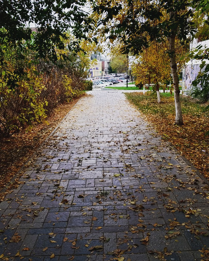 осень