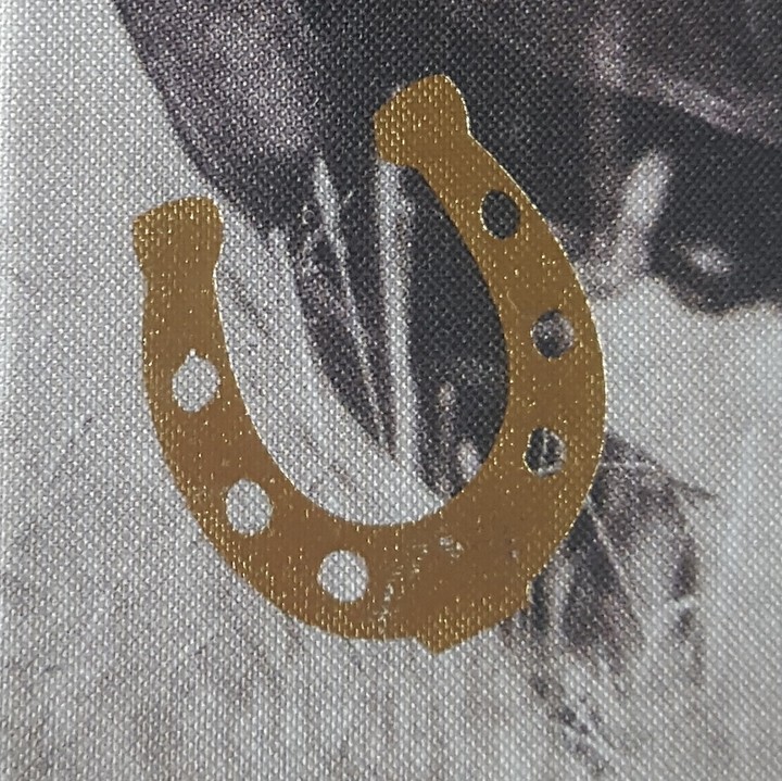 fiel Glück