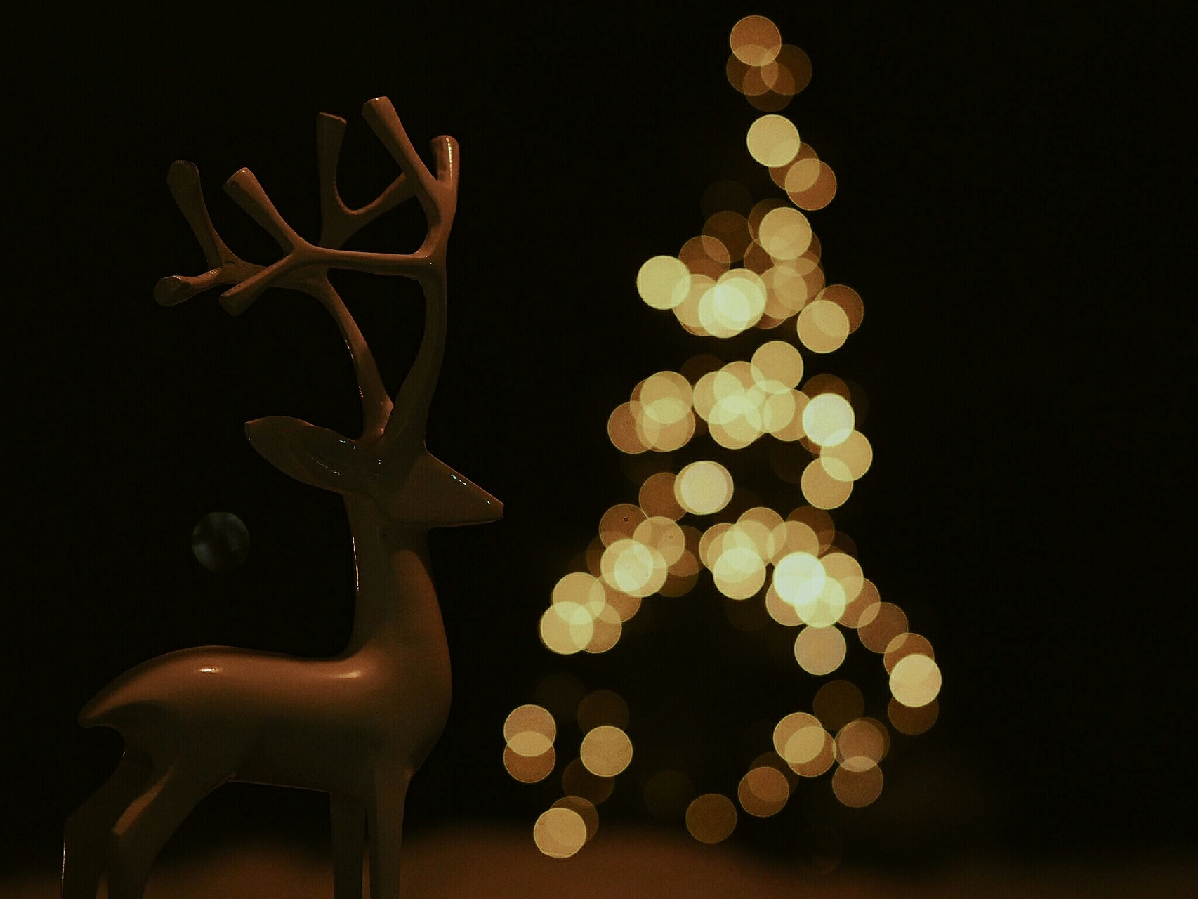 Deer meet a christmas tree