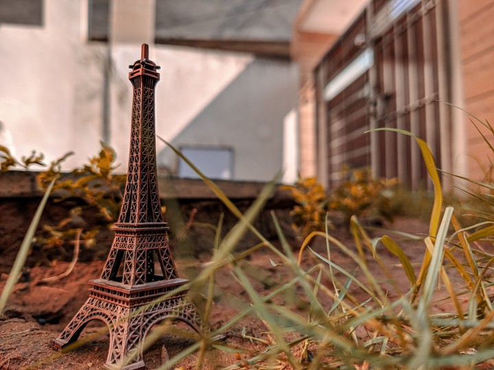 micro photography
