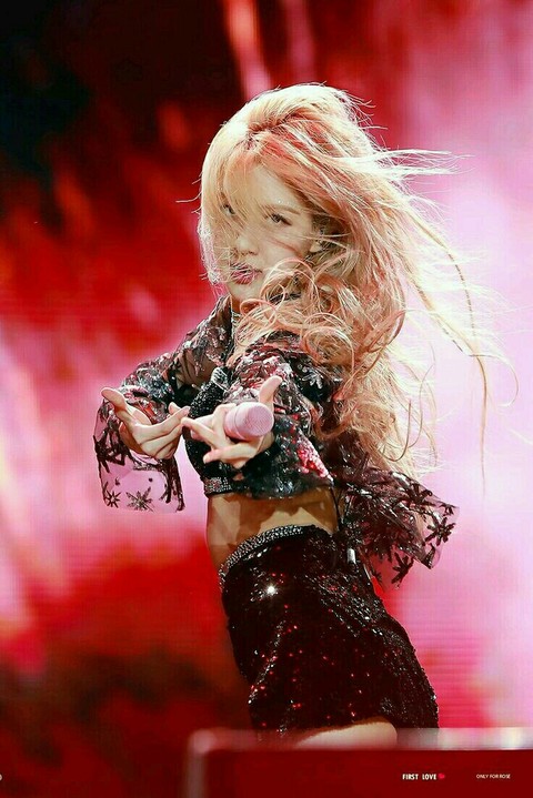 ROSE COACHELLA
