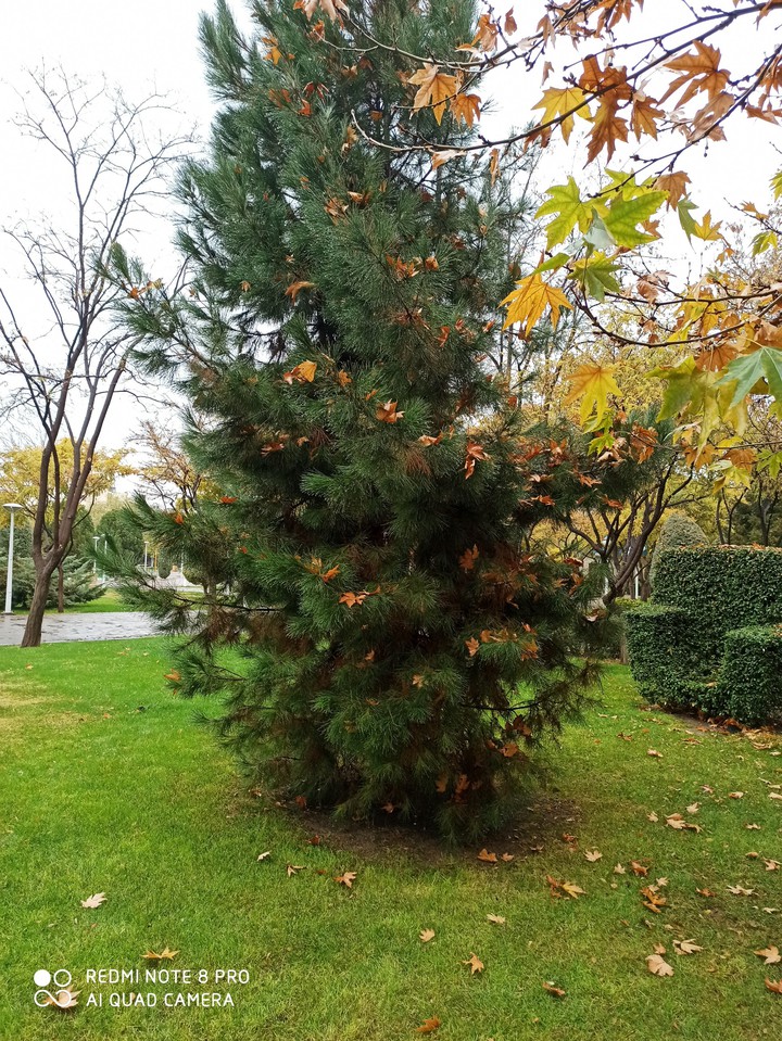 #fall