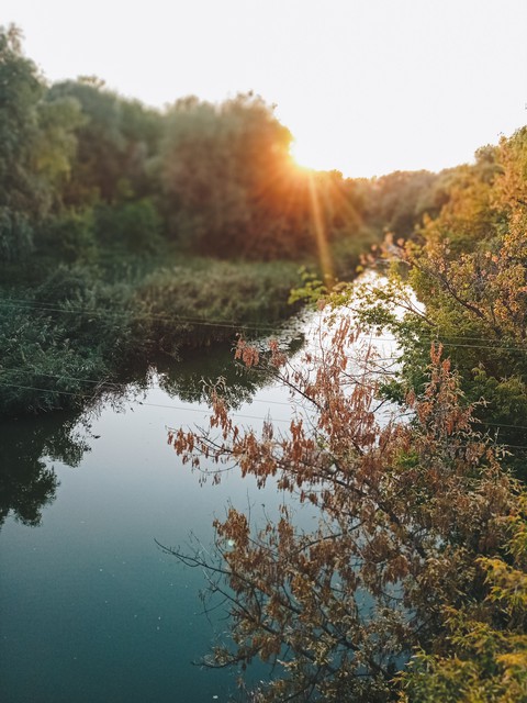 nature