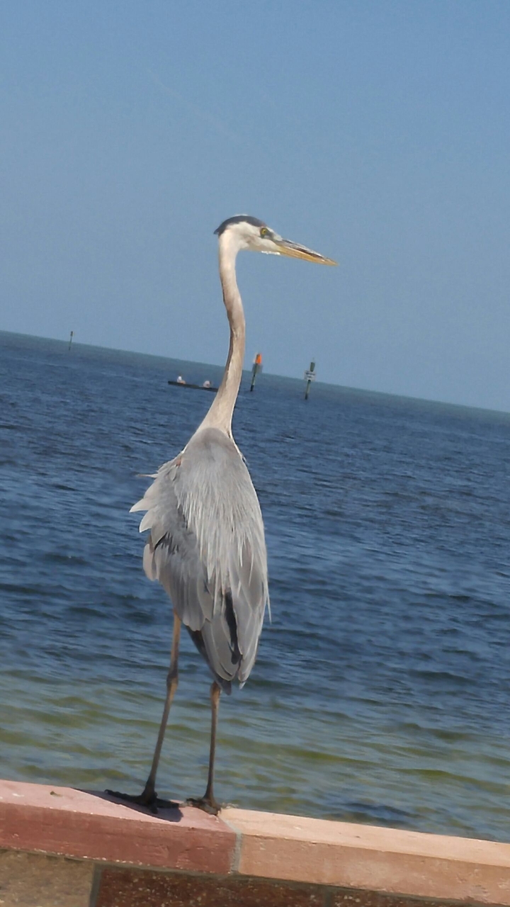 Hudson Beach