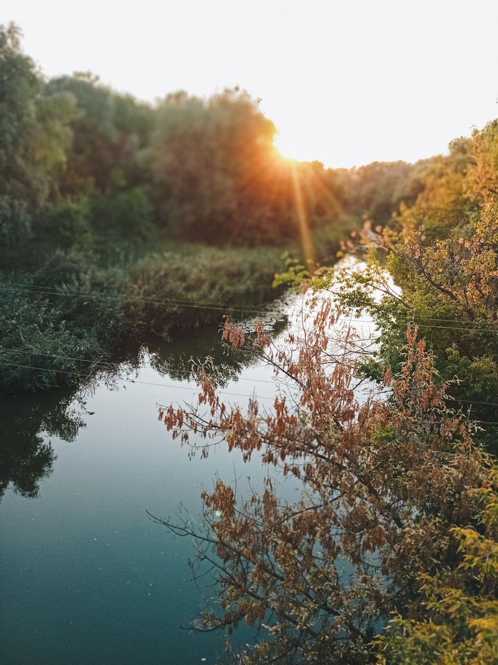 nature