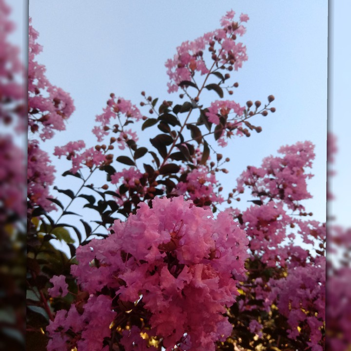 Beautiful?
