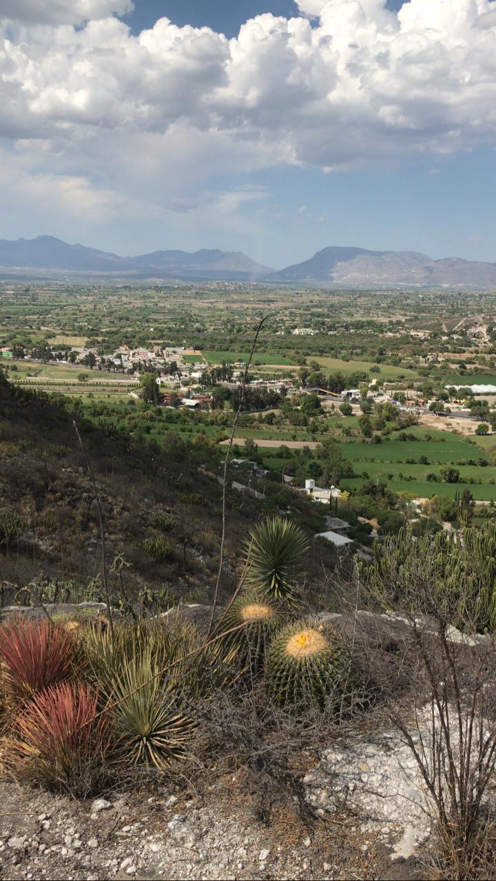 Hidalgo