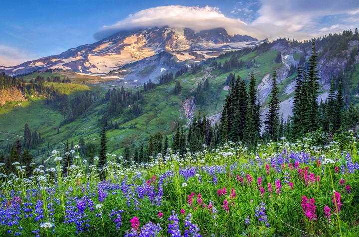 Nature's Beauty
