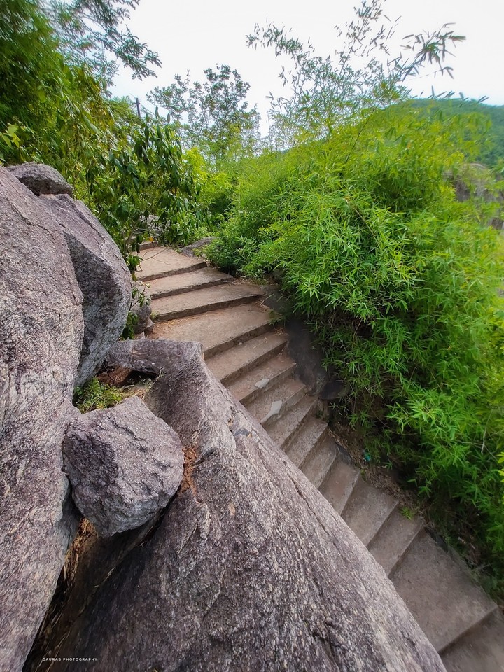 nature