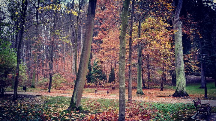 Polish autumn
