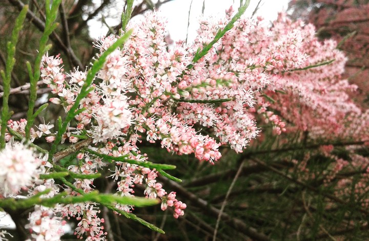 Spring!