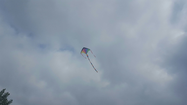 kite