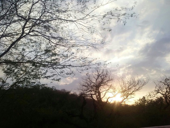 nature