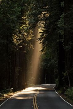 Alone Road