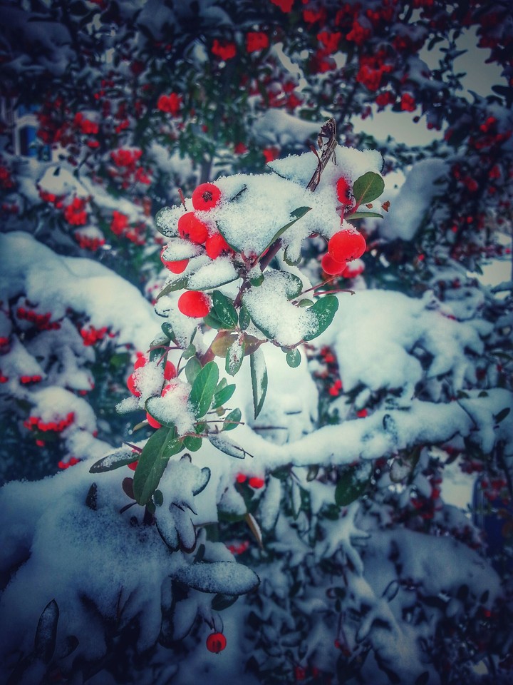 Snow