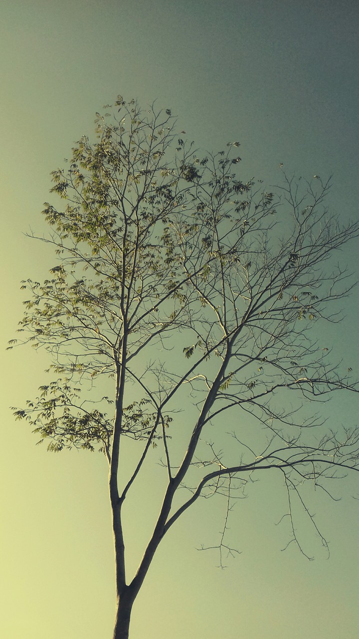 alone