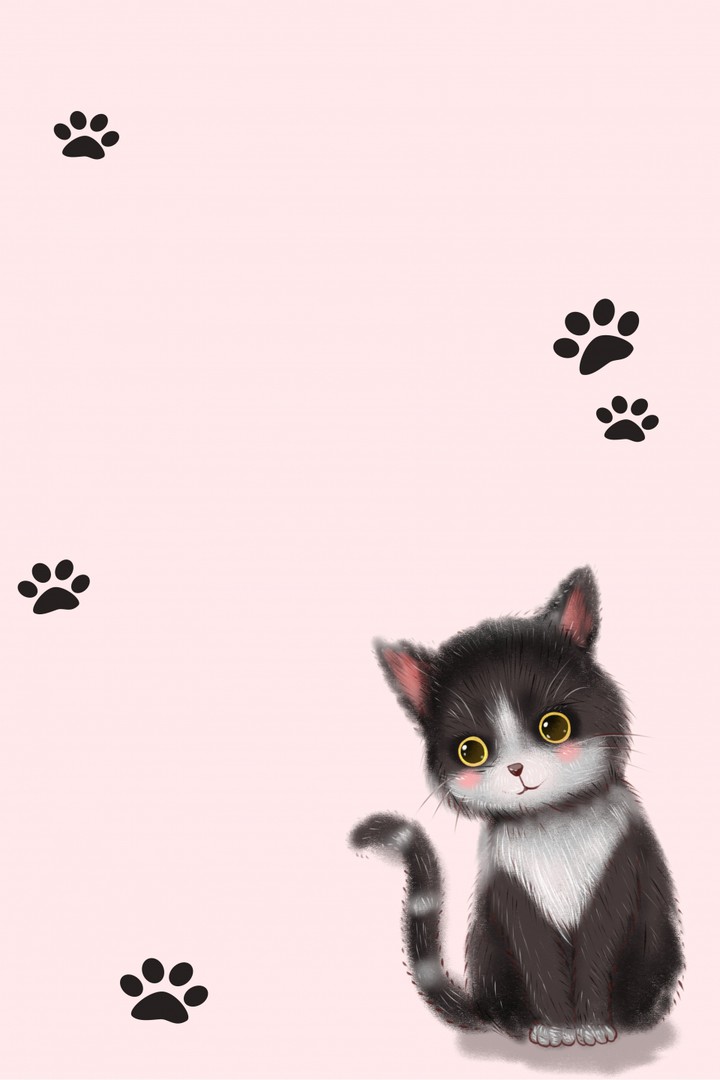 кот