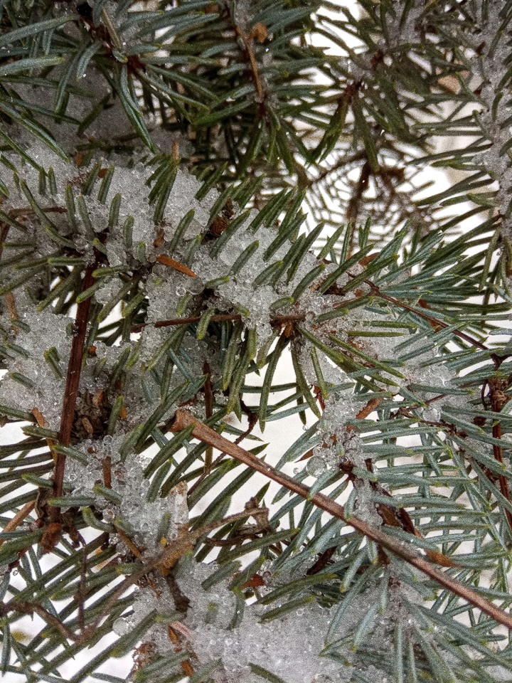 winter