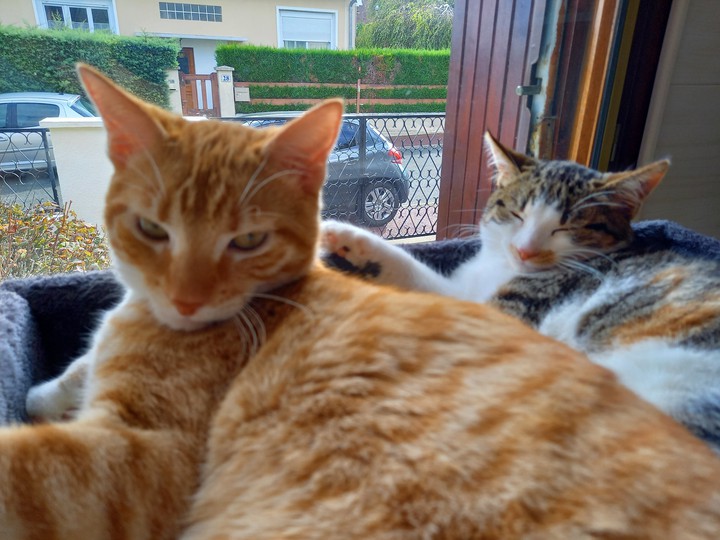 Lino et Léïa.
