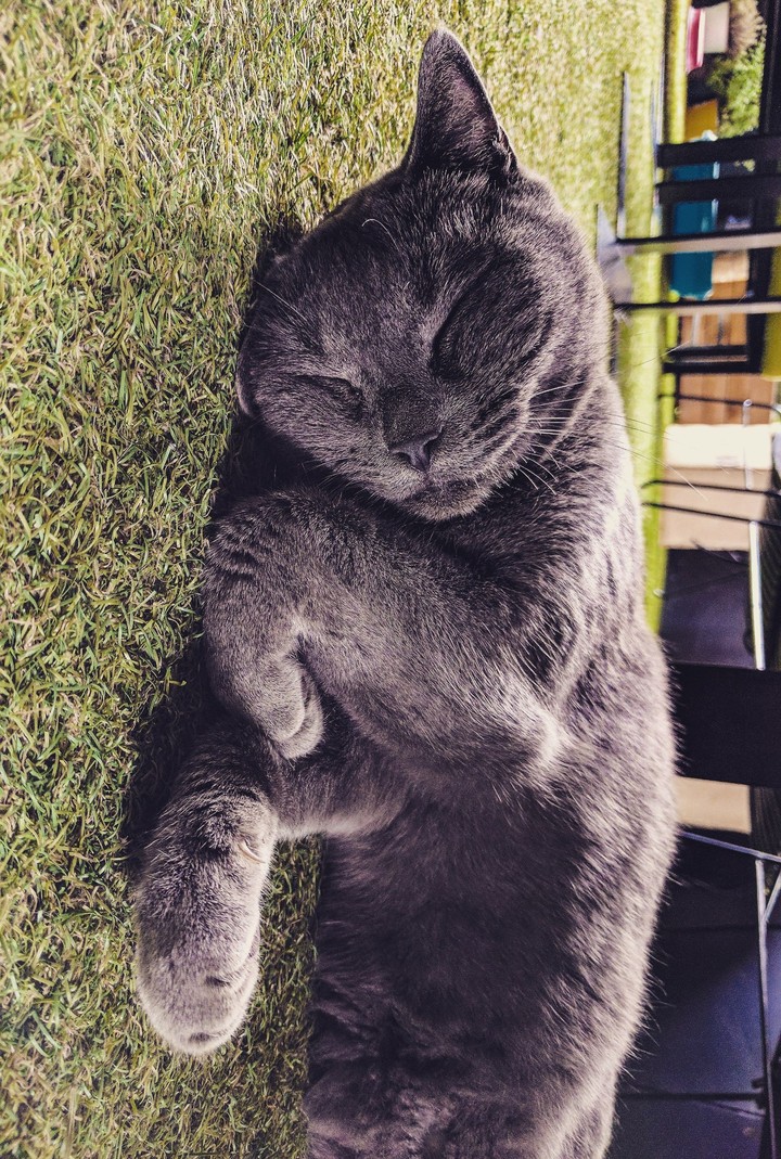 cute and cuddly
