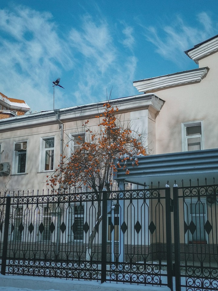 winter