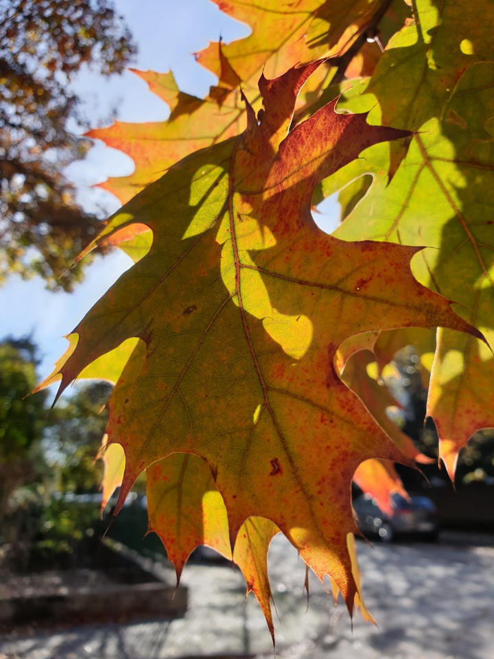 autunno