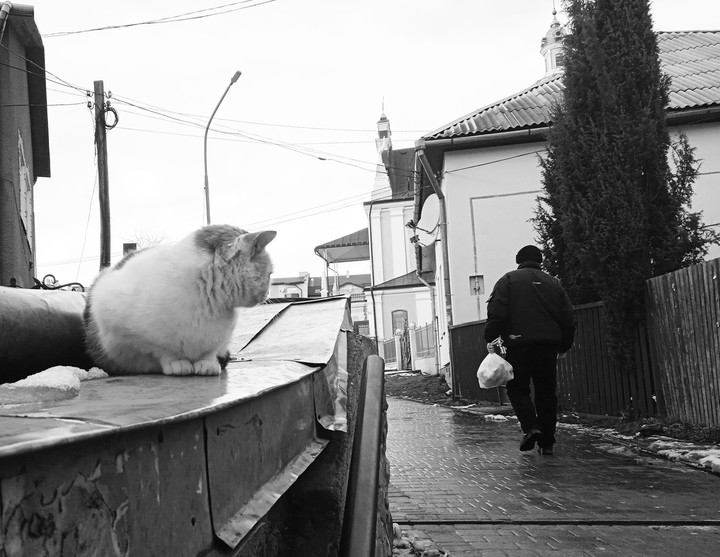 indifference