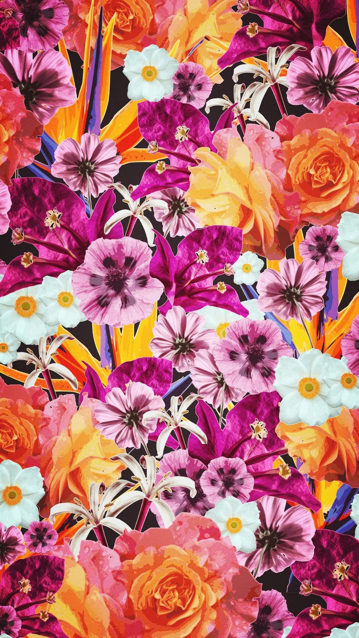 Pink Flowers