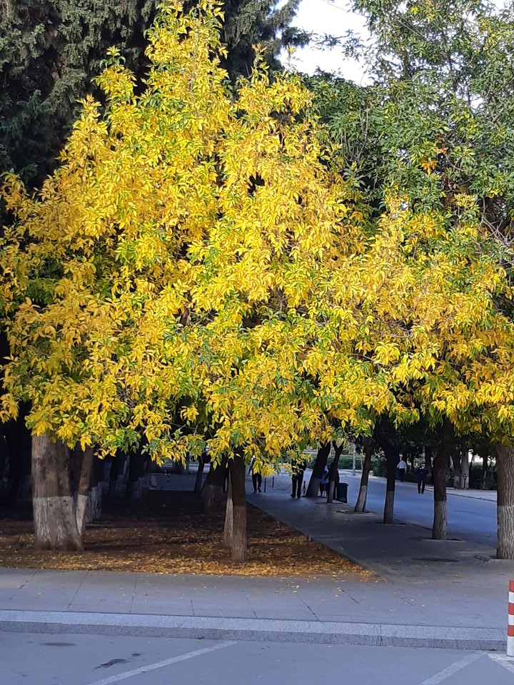 осень