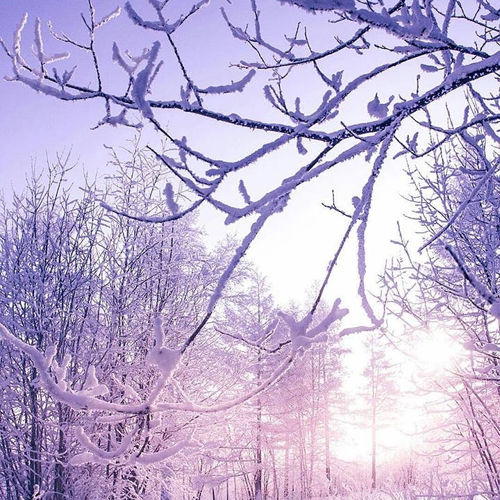 Winter