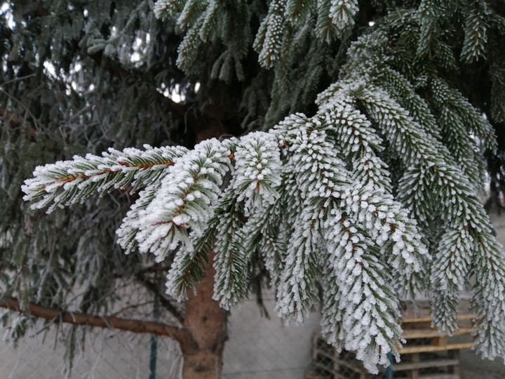 Winter ?