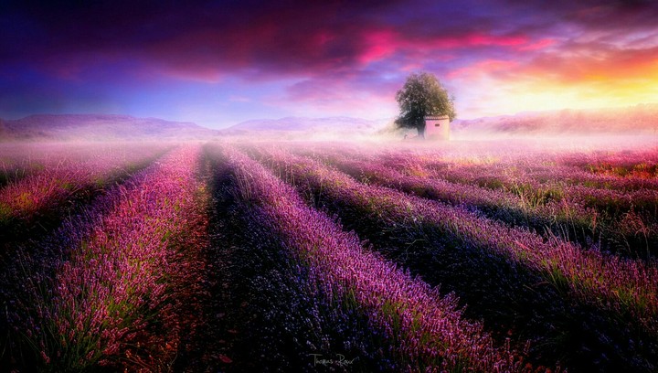 nature
