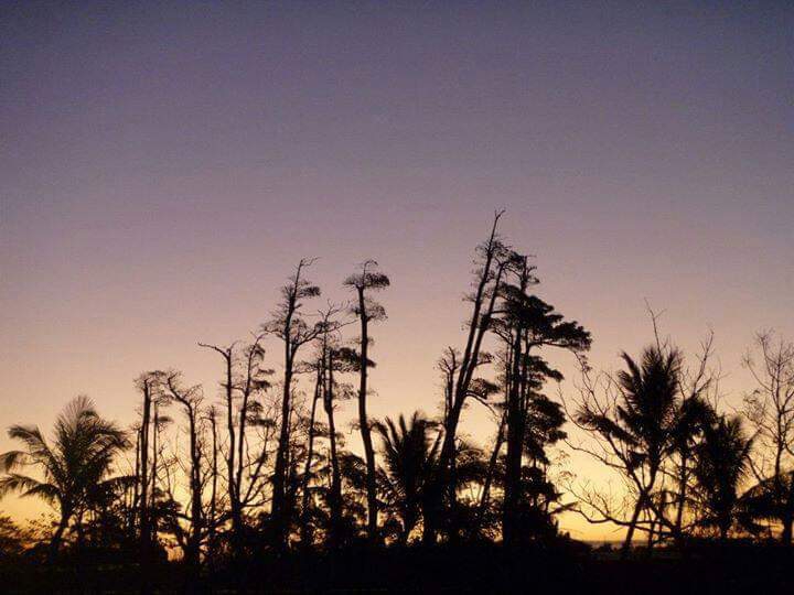夕陽