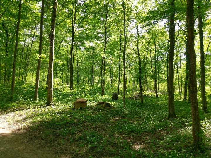 Natur
