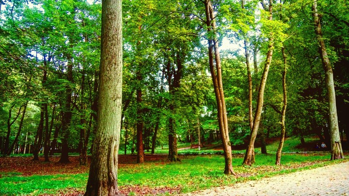 Green Park