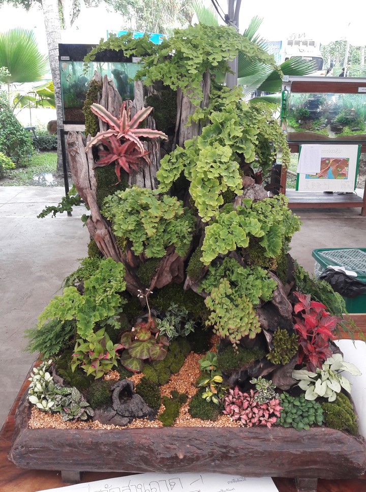 รูปเก่า