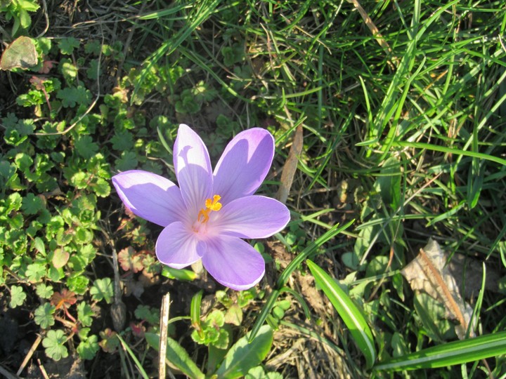 photo by me)